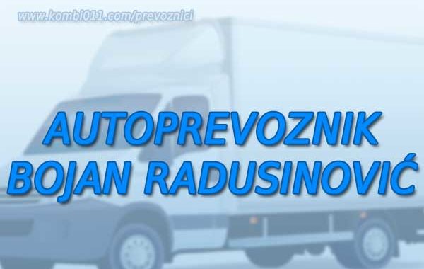 autoprevoznik bojan radusinović zemun selidbe prevoz kombi